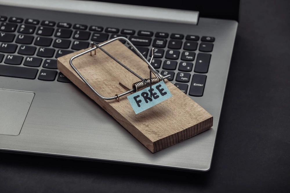 Pros and cons of free and open source HRIS solutions 1
