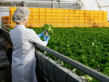 Blogs News Events (2)